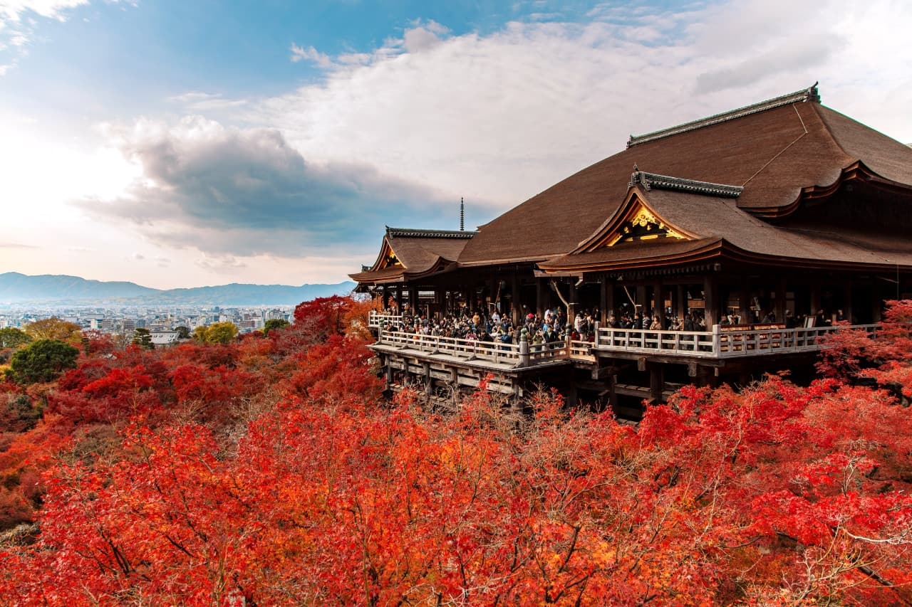 Kyoto and Nara Full-Day Tour from Osaka: Kiyomizudera Area, Fushimi Inari Taisha, Nara Park - მთავარი სურათი