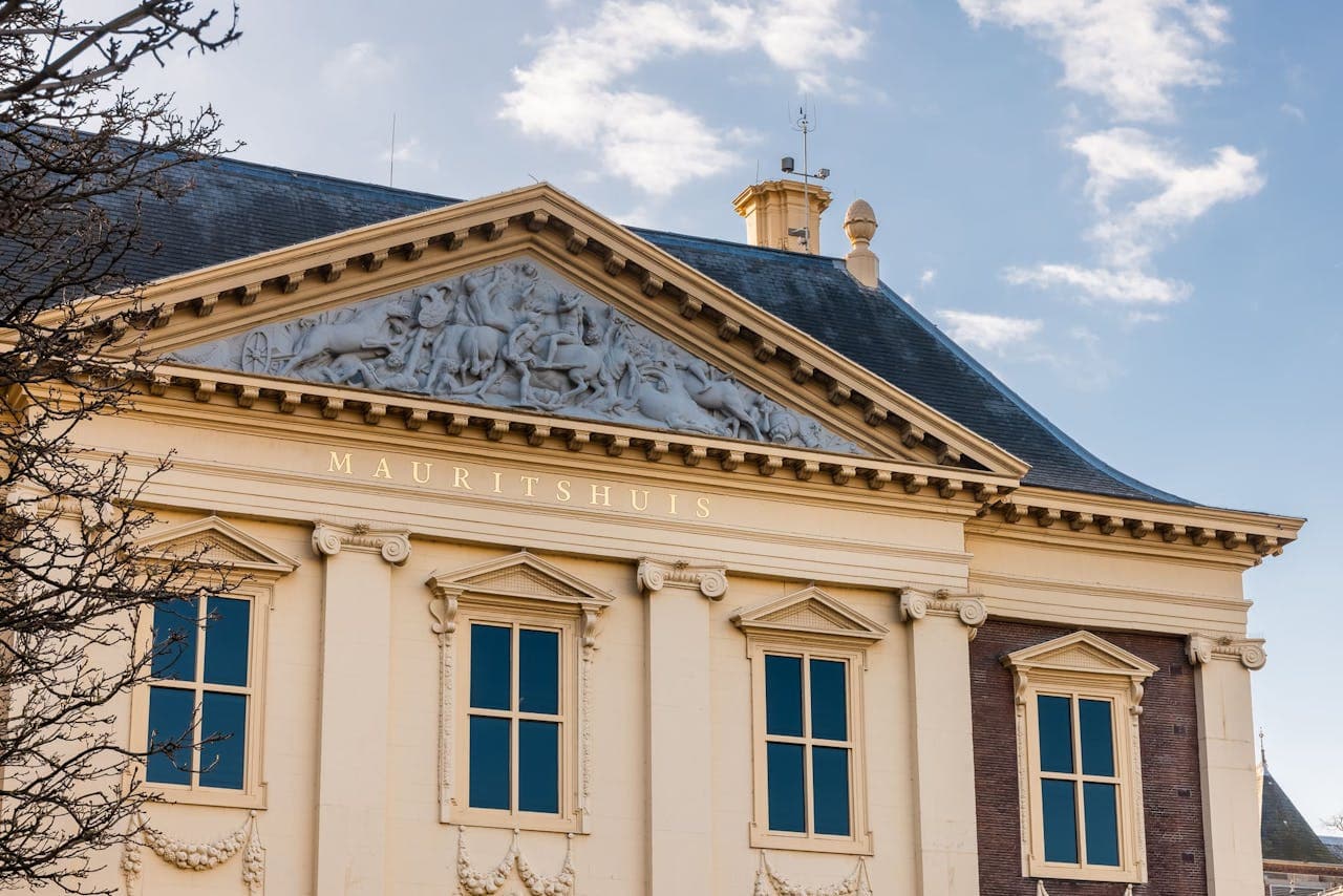 The Mauritshuis Museum Ticket - სურათი 7