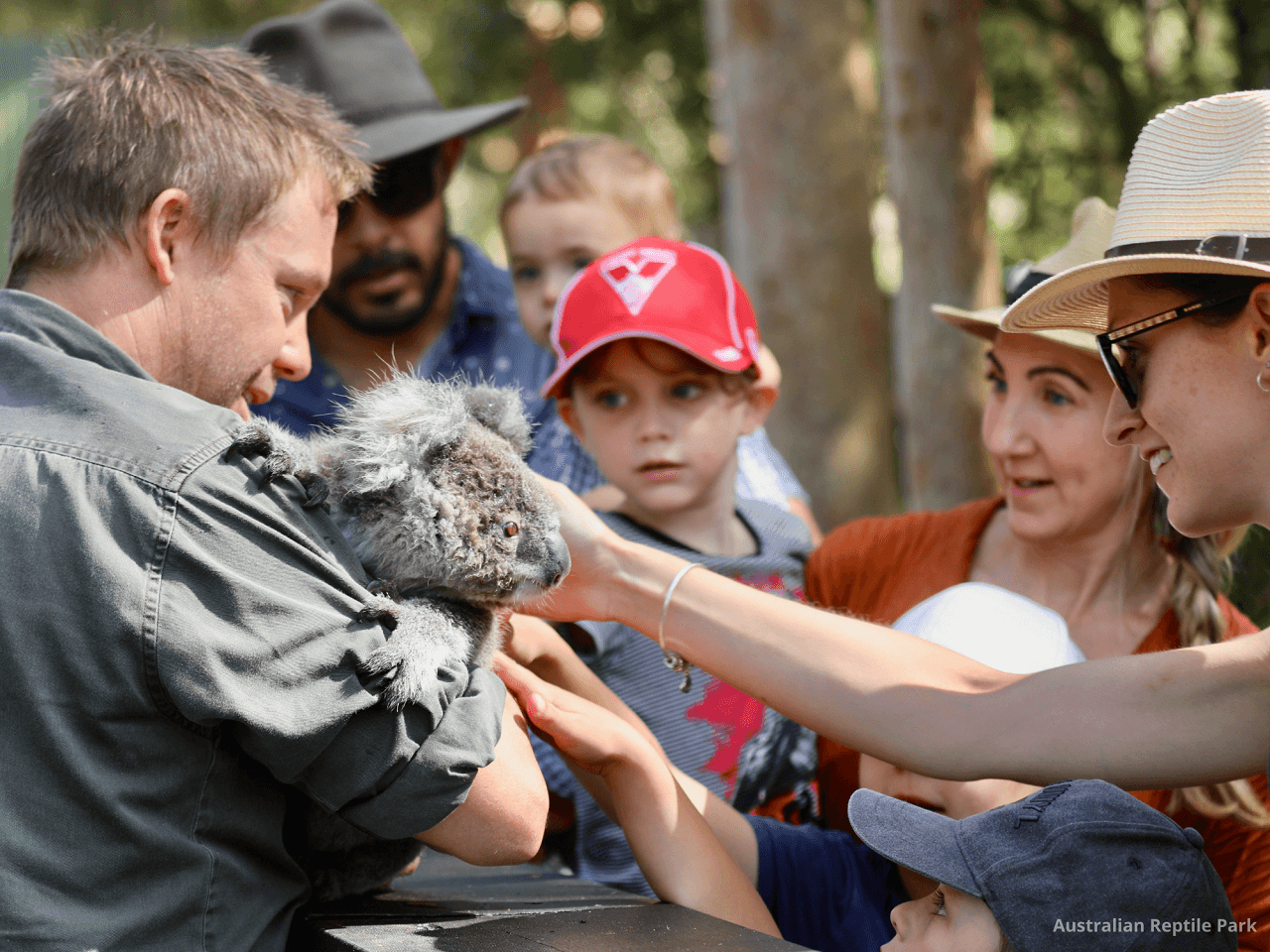 Australian Reptile Park - სურათი 44