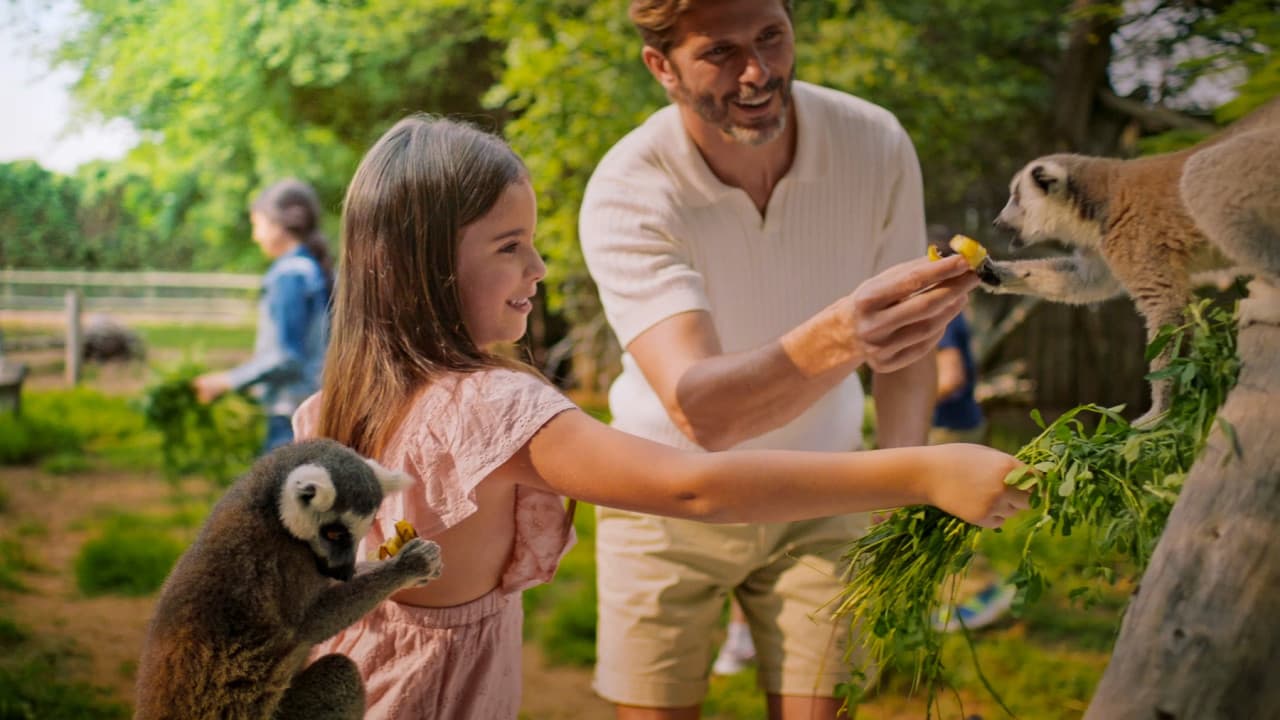 Dubai Safari Park Ticket - სურათი 23