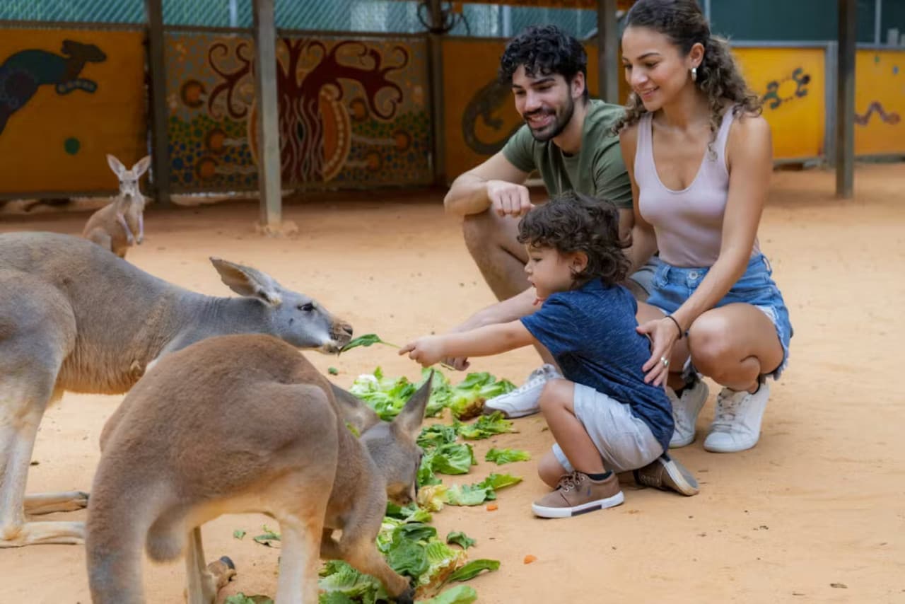 San Antonio Zoo Ticket - სურათი 8