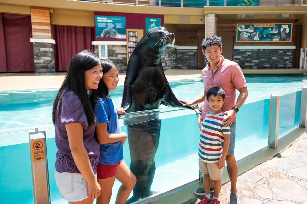 SeaWorld Orlando Ticket: Direct Entry + Optional All-Day Dining Deal + Multi-Park Discount Ticket - სურათი 7