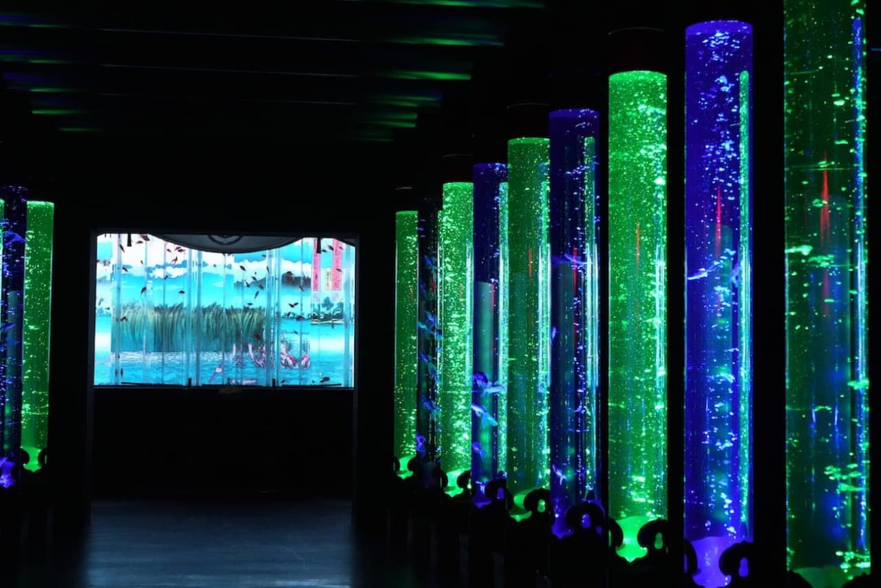 Art Aquarium Museum GINZA Ticket - სურათი 3