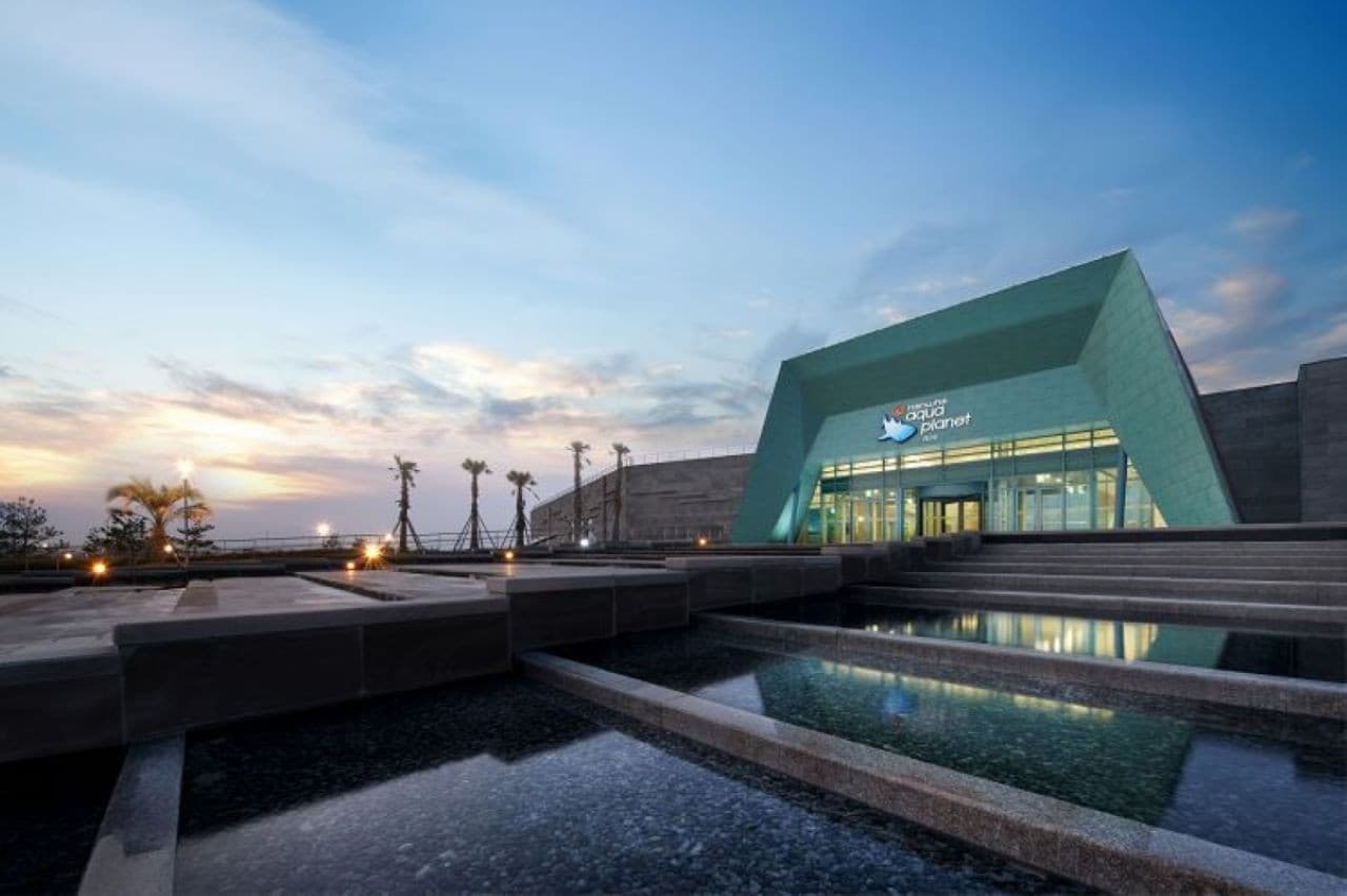 Aqua Planet Jeju Aquarium Ticket - სურათი 18