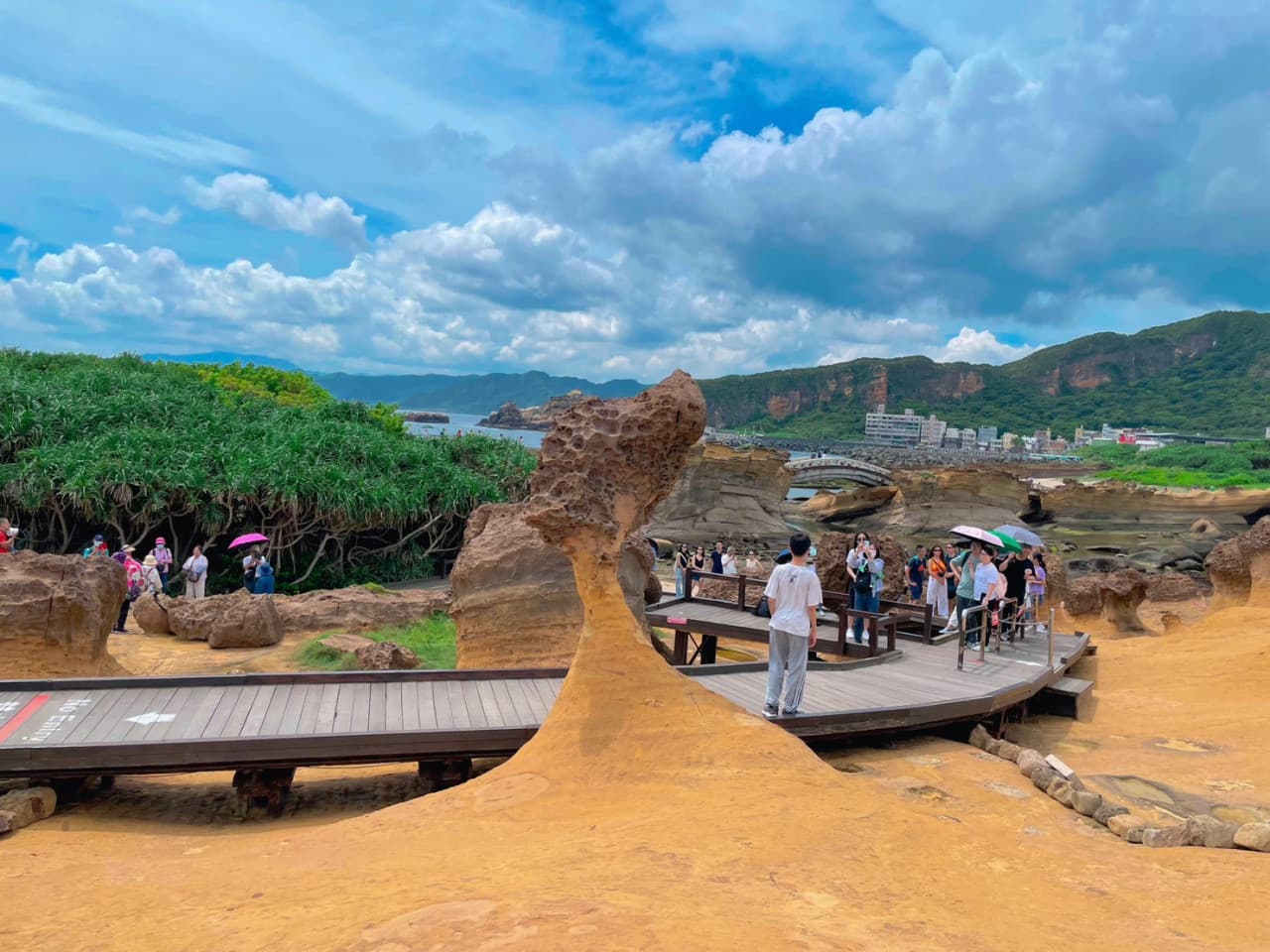 Yehliu, Jiufen, and Shifen Full-Day Tour from Taipei - სურათი 5