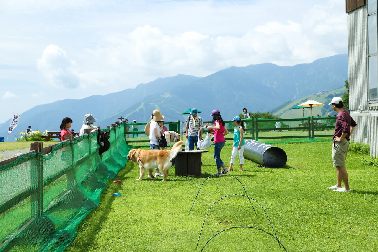 Hakuba Iwatake Mountain Resort - სურათი 7
