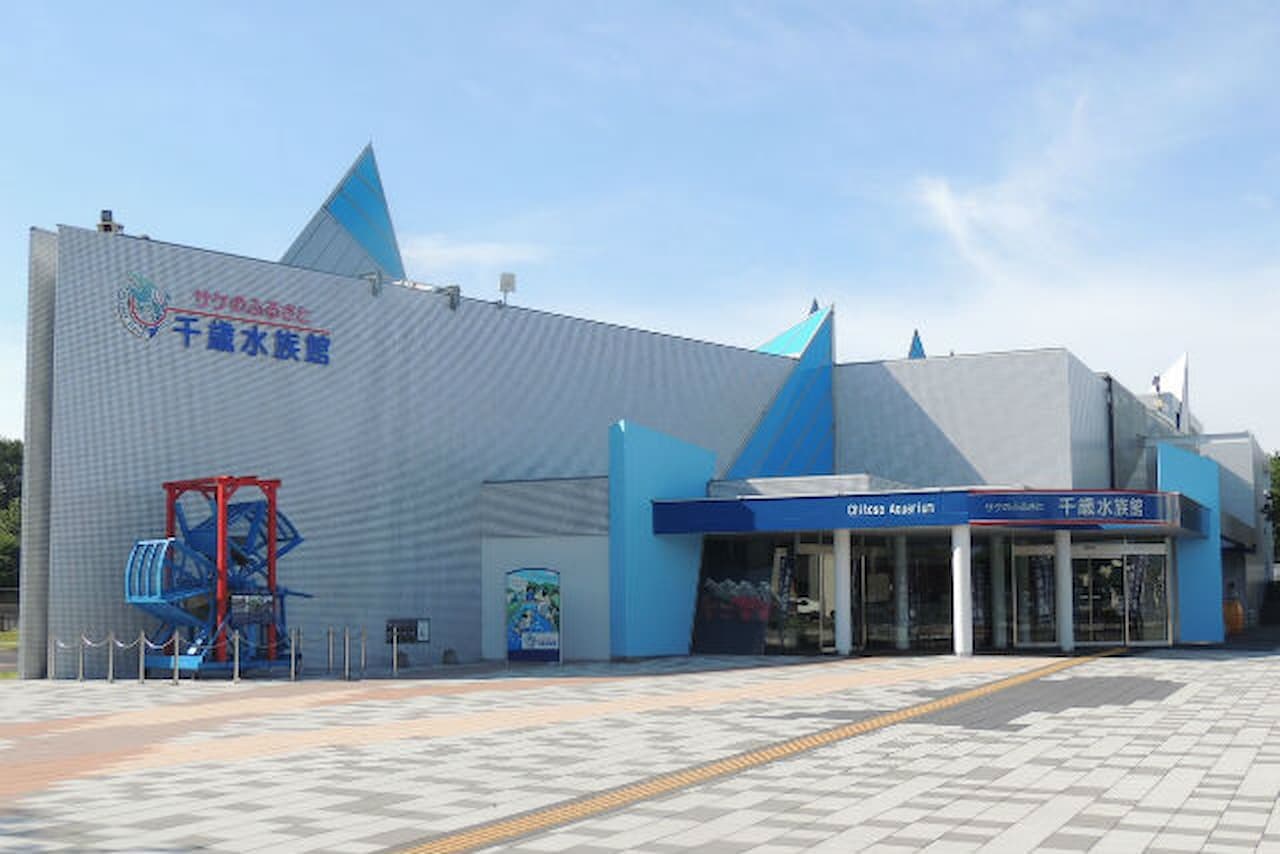 Salmon Hometown Chitose Aquarium Ticket - სურათი 12