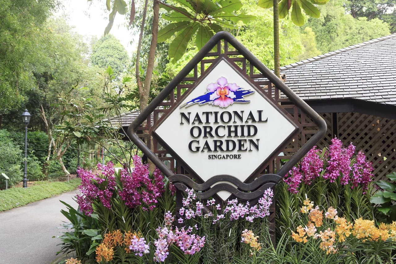 COMBO: Gardens by the Bay - Floral Fantasy + National Orchid Garden - სურათი 2