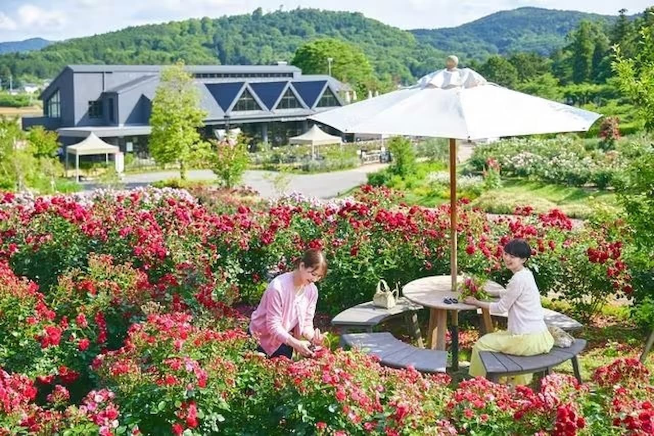 Ibaraki Flower Park Ticket - სურათი 4