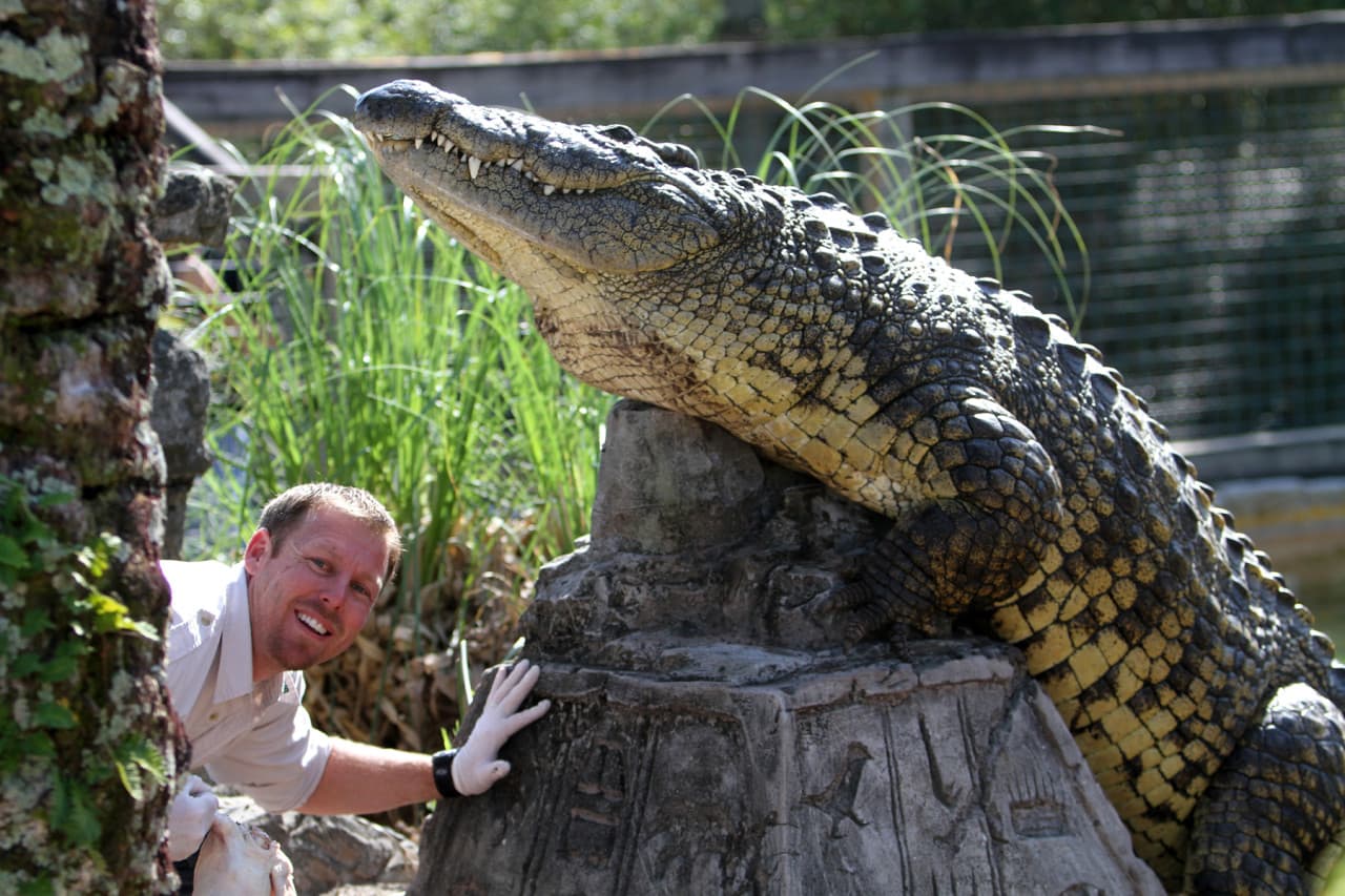 Go City Orlando Explorer Pass: Save up to 50% on Attractions - სურათი 13