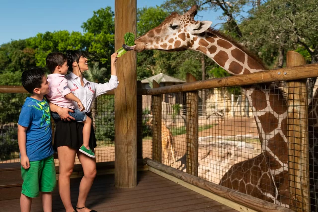 San Antonio Zoo Ticket - სურათი 2
