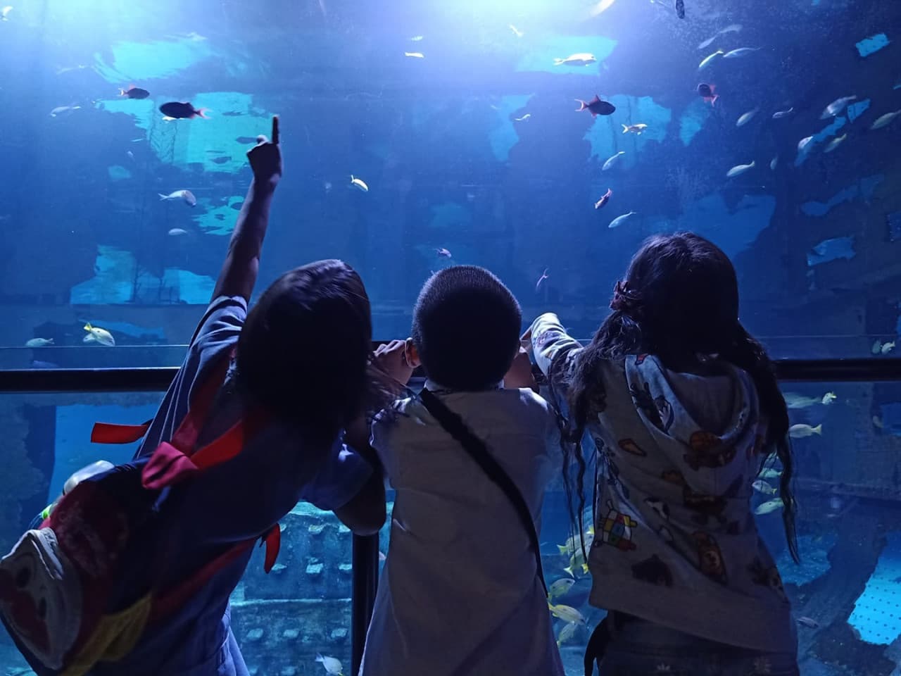 Aquaria Phuket - მთავარი სურათი