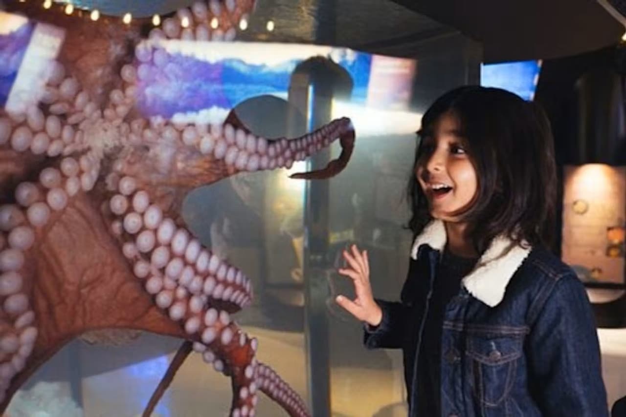 Vancouver Aquarium Ticket - სურათი 6