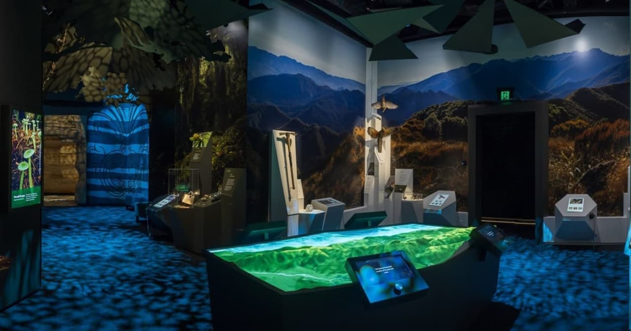 Paparoa Experience Ticket - სურათი 4