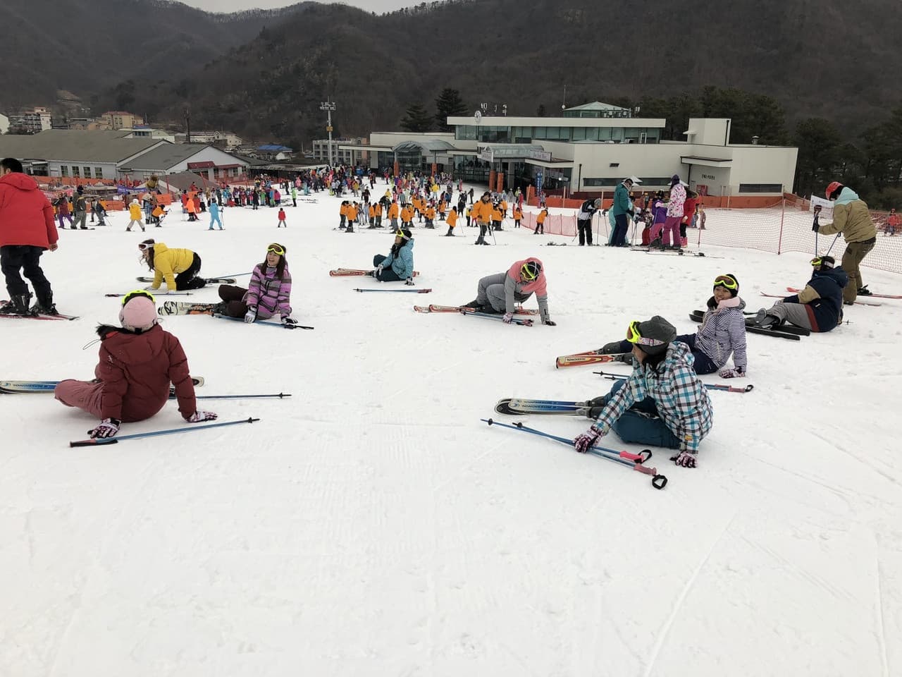 Jisan Forest Ski Resort Full-Day Tour from Seoul - სურათი 5