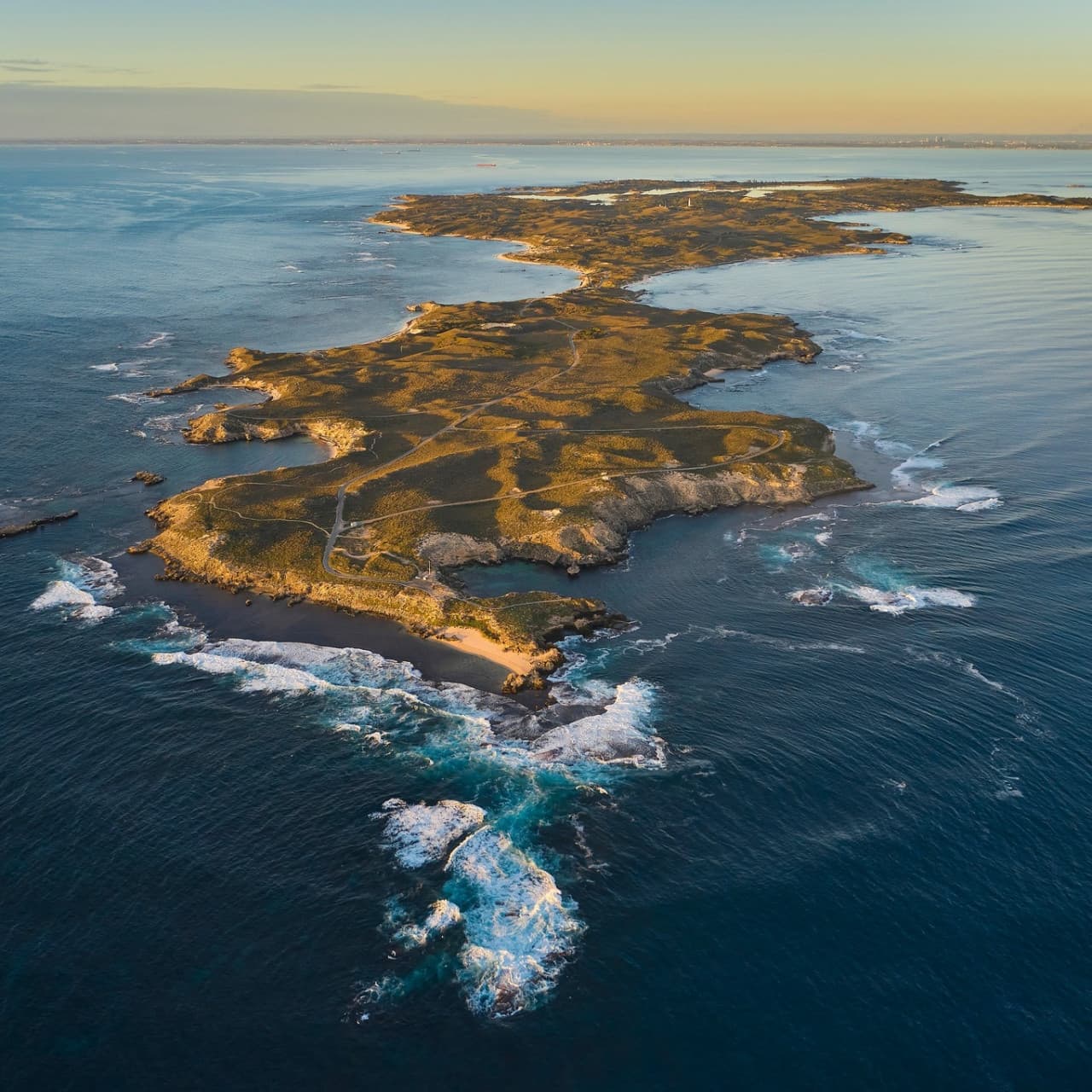 Rottnest Island Bayseeker Bus Tour with Round Trip SeaLink Ferry Transfer - სურათი 5