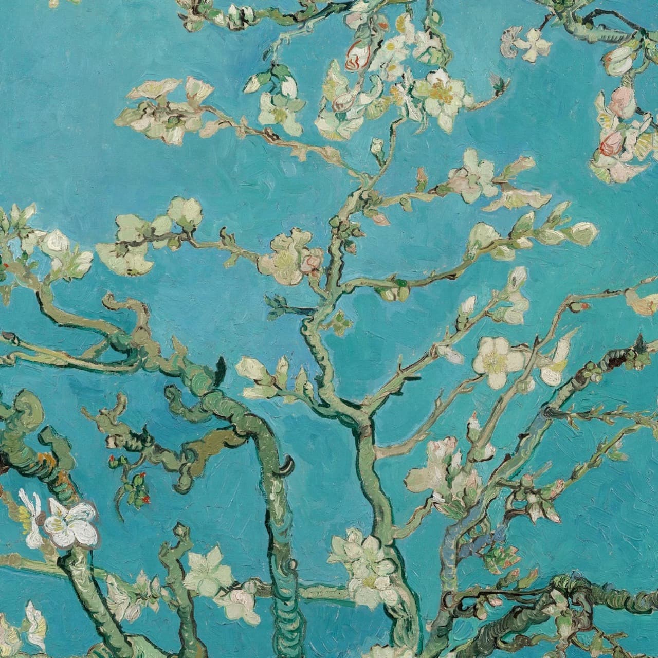 Van Gogh Museum - სურათი 3