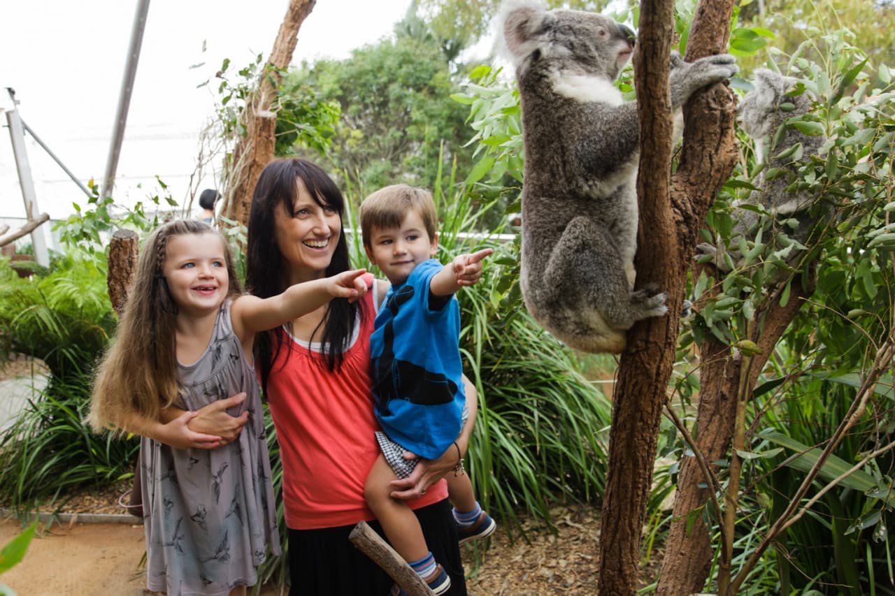 WILD LIFE Sydney Zoo Direct Entry Ticket - სურათი 2