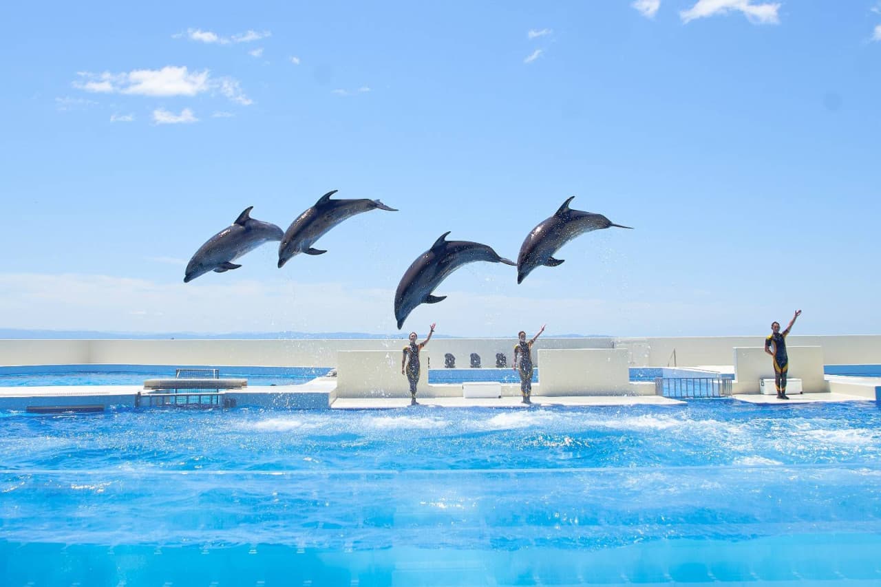Kobe Suma Sea World Ticket - სურათი 2