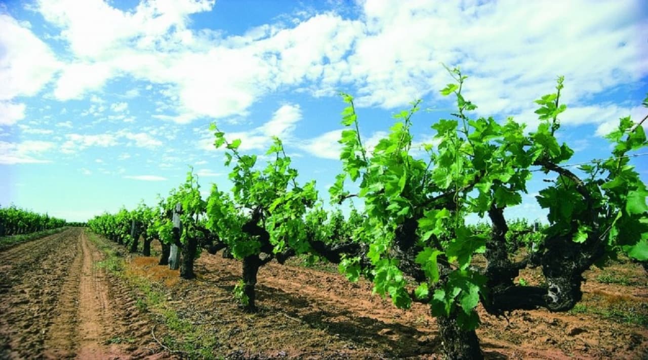 Margaret River Beer Tasting Tour from Perth - სურათი 4
