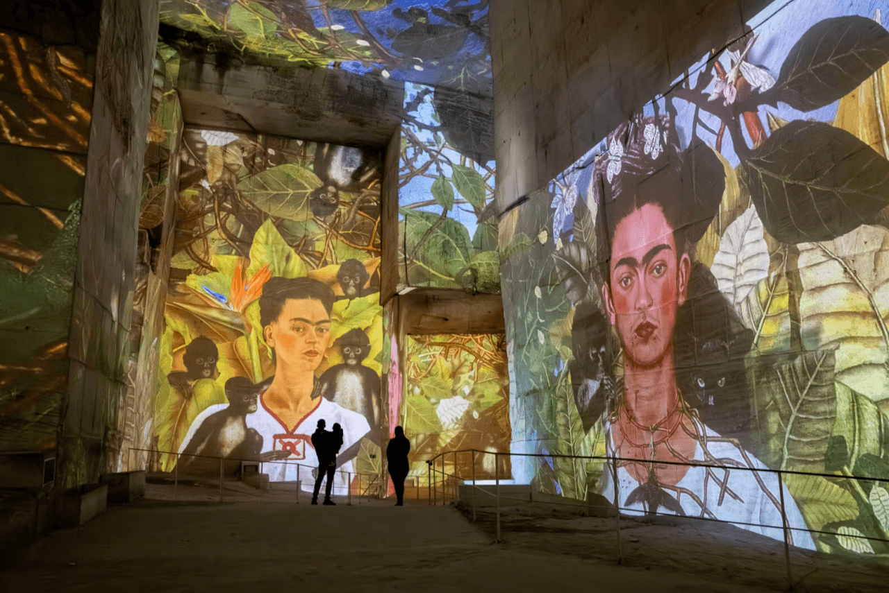 Carrieres des Lumieres: Entry Ticket - სურათი 7