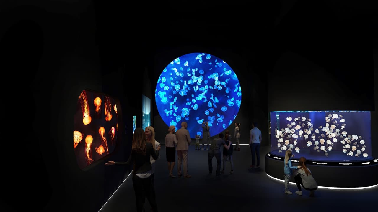 Singapore Oceanarium Insider Experience - სურათი 8