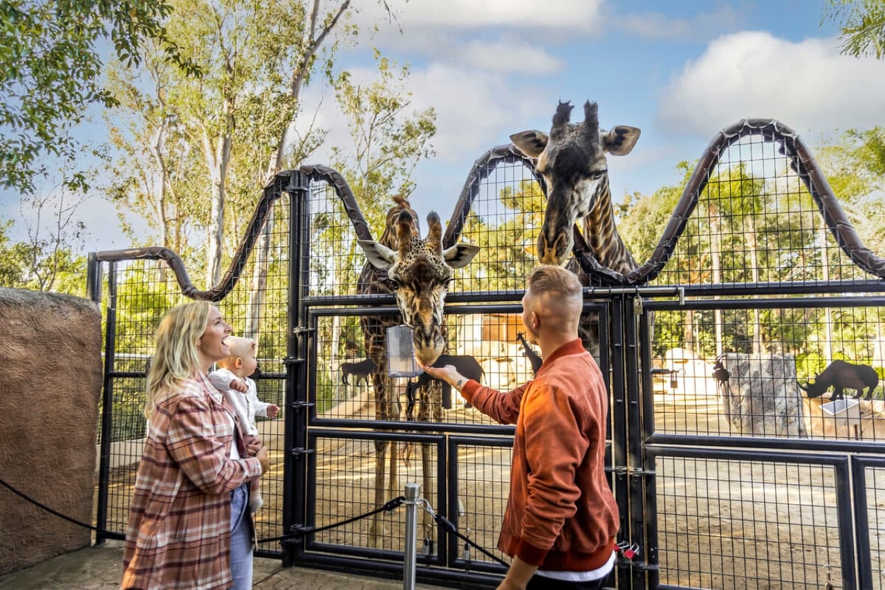 Go City San Diego Essentials Pass: Save up to 50% on Attractions - სურათი 2