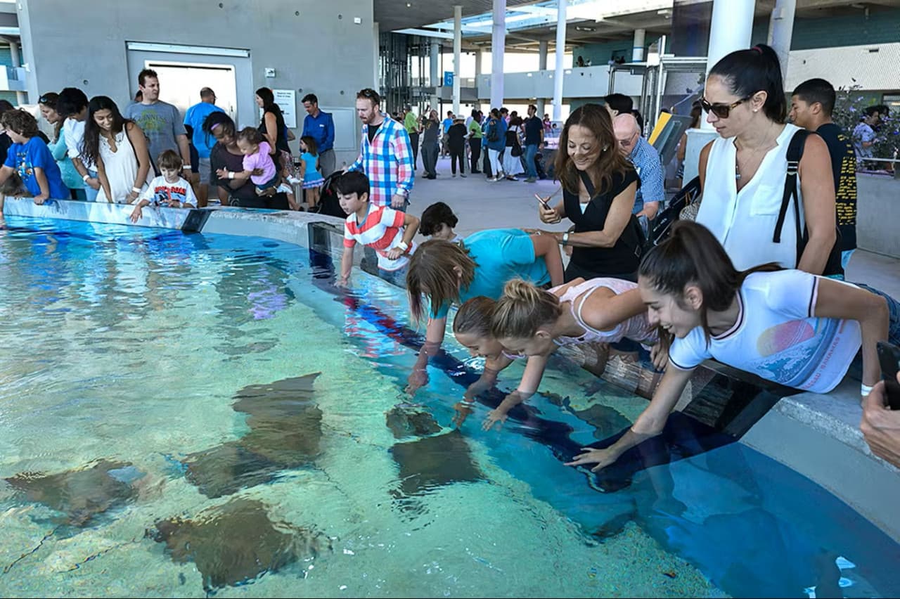 Phillip & Patricia Frost Museum of Science, Aquarium and Planetarium Ticket - სურათი 7