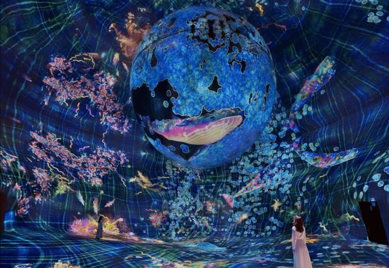 teamLab Phenomena Abu Dhabi Ticket - სურათი 6