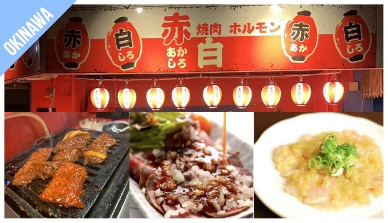 Have Fun in Okinawa Pass - 1 Week Free Pass - სურათი 13