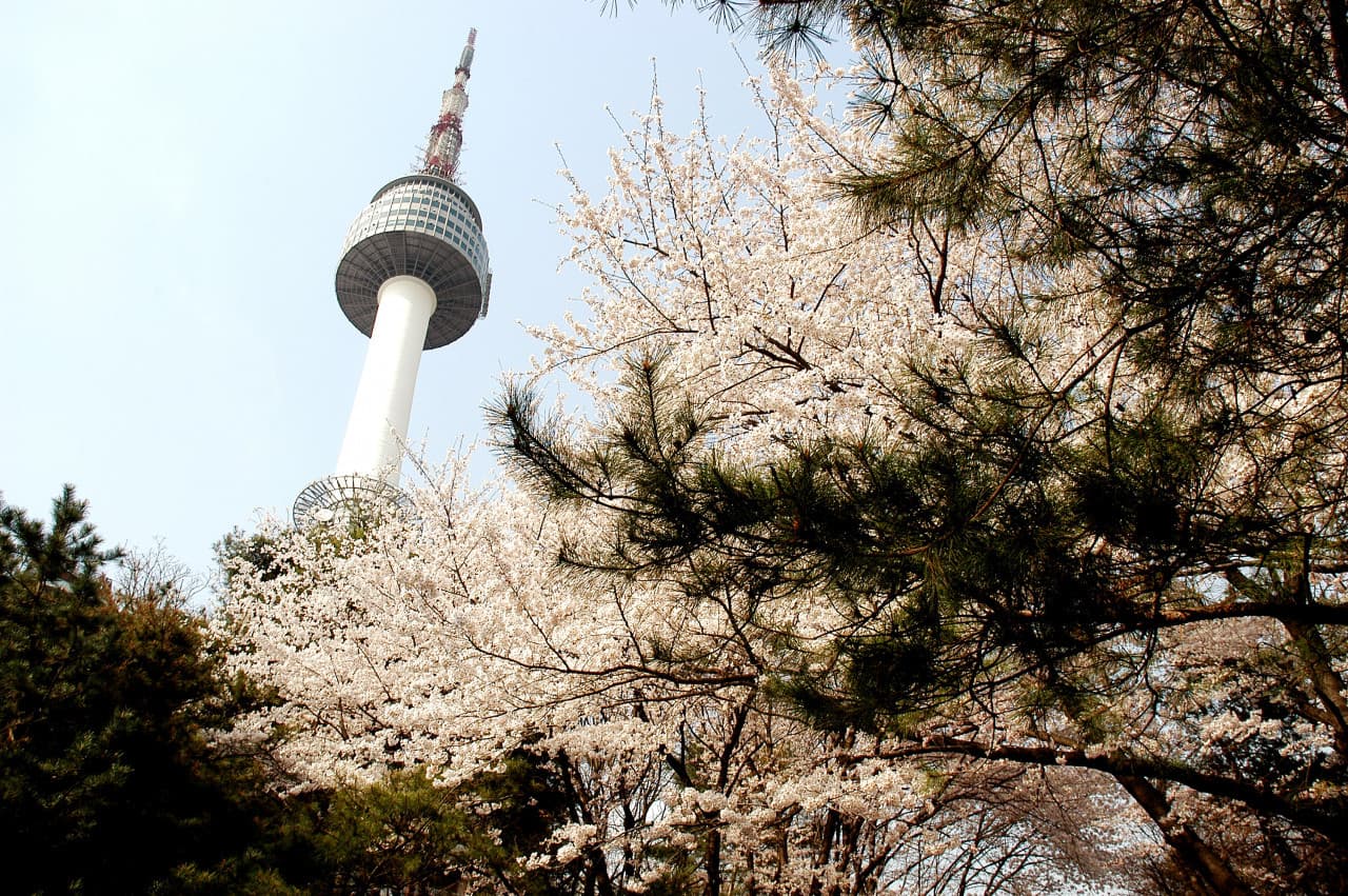 COMBO: AREX Incheon Airport Express Train + N Seoul Tower Observatory - სურათი 10