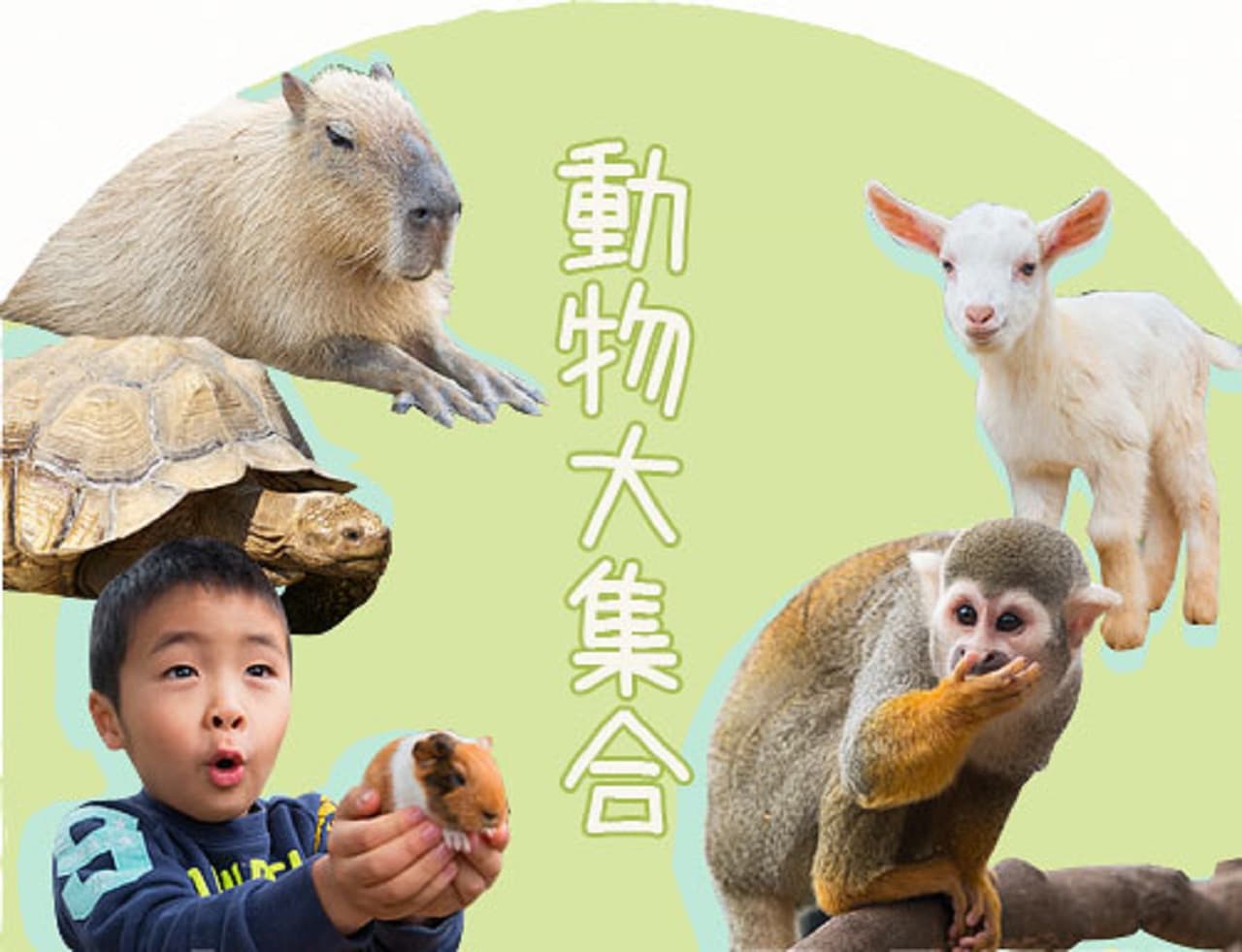 Okinawa Southeast Botanical Gardens - სურათი 39