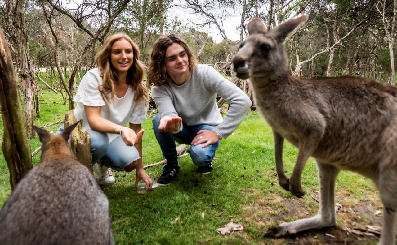 Moonlit Sanctuary Wildlife Conservation Park Ticket - მთავარი სურათი