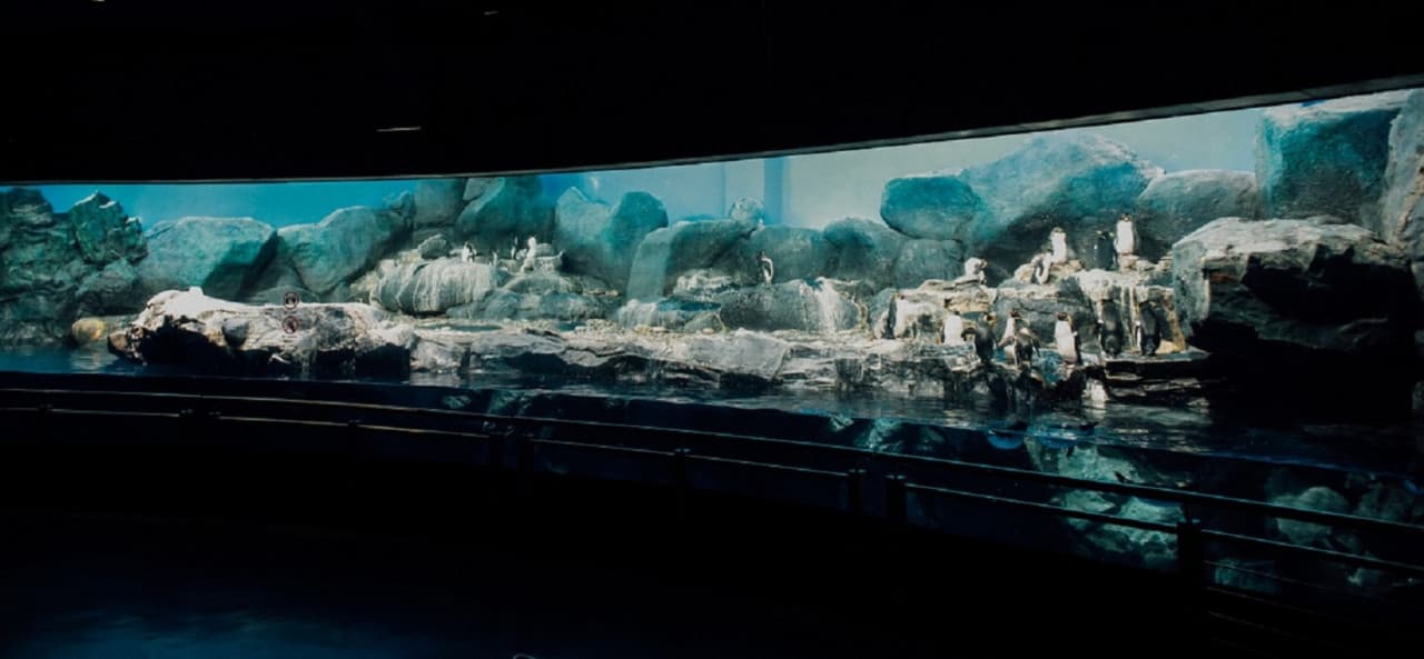 Underwater World Langkawi Ticket - სურათი 19