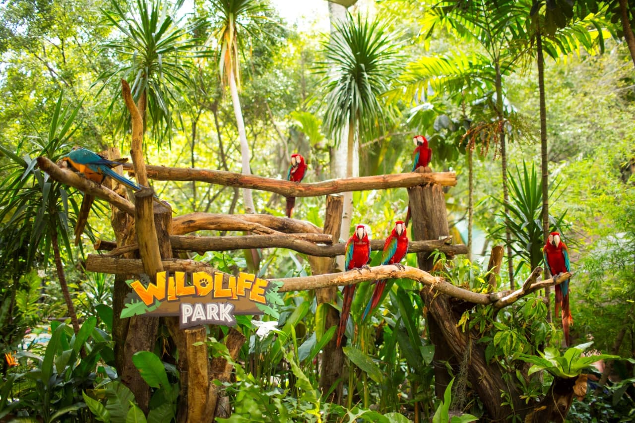 COMBO: Sunway Lagoon Theme Park Ticket + Quack Xpress Pass - სურათი 11