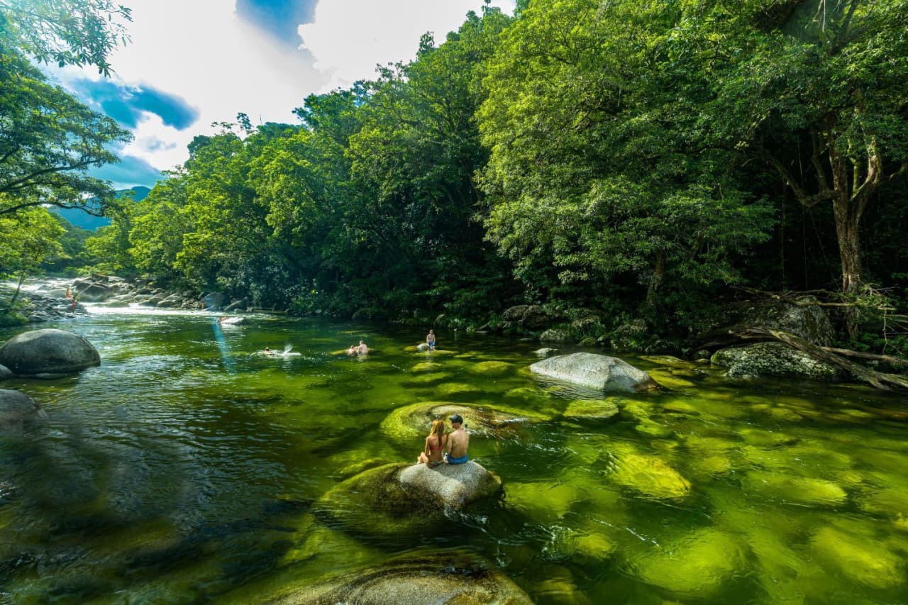 Daintree, Mossman Gorge, and Wildlife Habitat Port Douglas Full-Day Tour - სურათი 4
