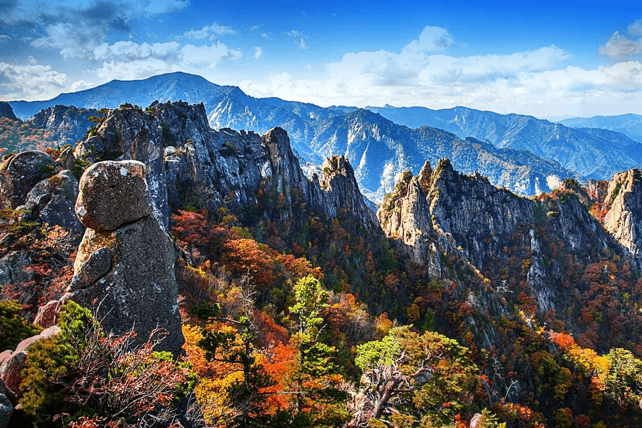 Nami Island and Mount Seorak Full-Day Tour from Seoul - სურათი 3