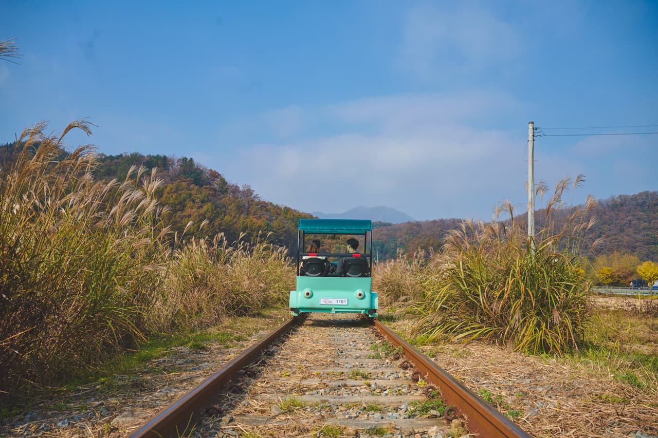 Nami Island, Mount Seorak, and Gapyeong Rail Bike Full-Day Tour from Seoul - სურათი 2
