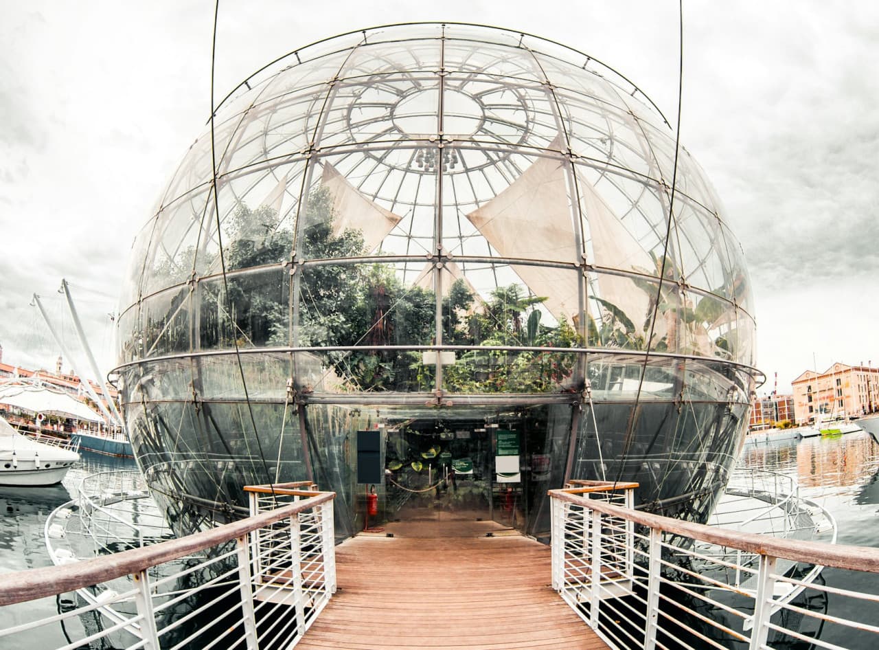Biosphere: Fast Track Ticket - მთავარი სურათი
