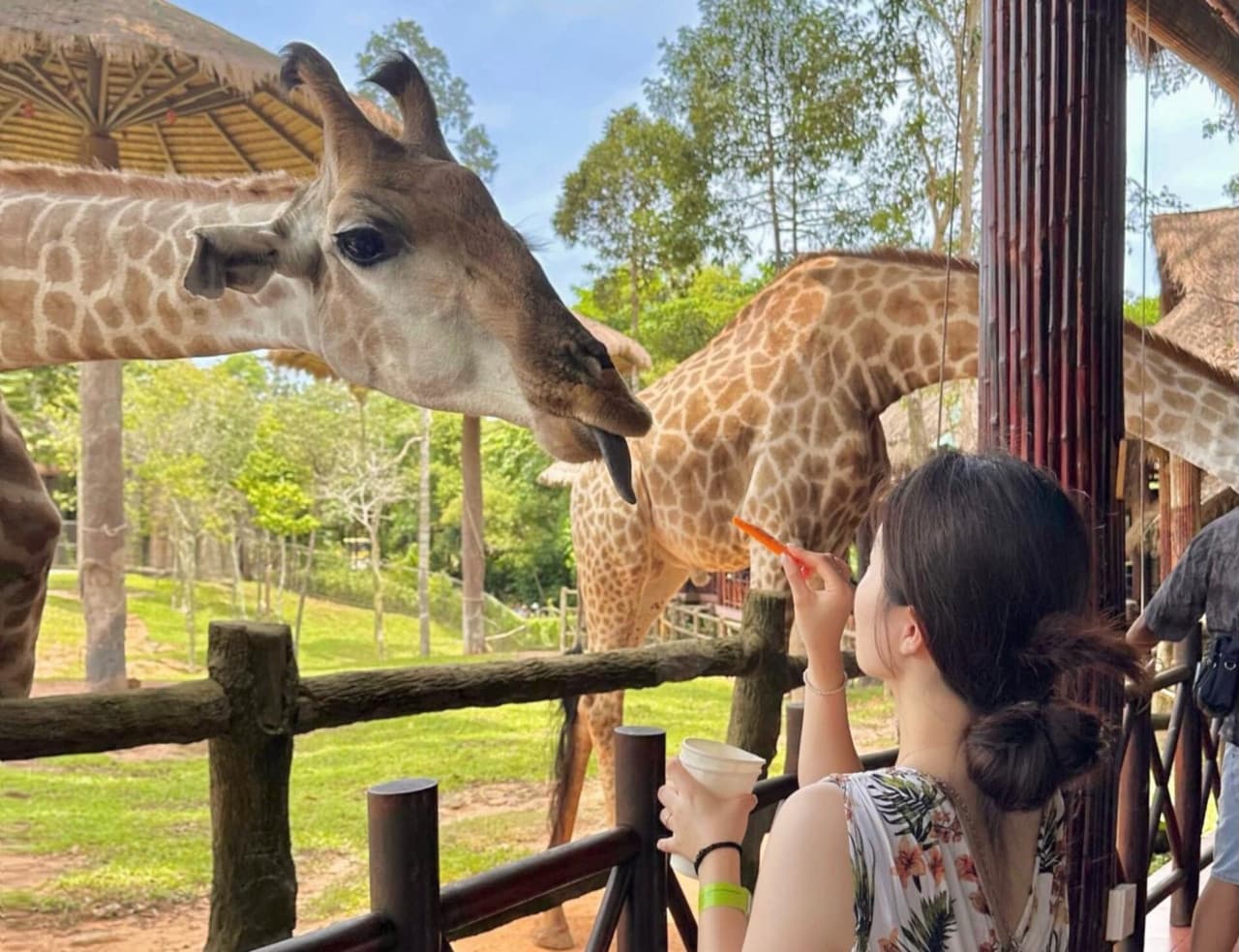 Vinpearl Safari Phu Quoc Ticket - სურათი 14