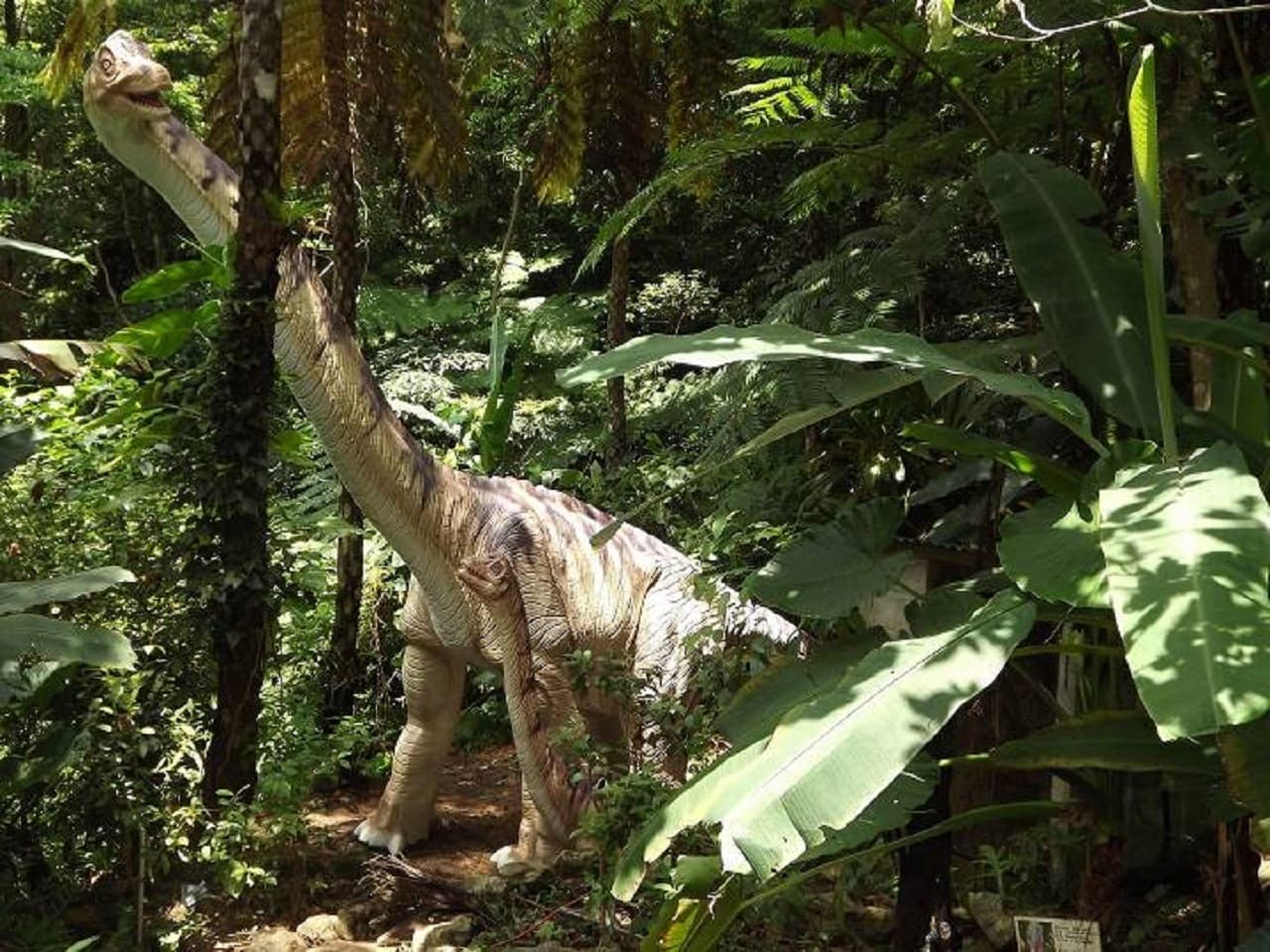 Okinawa Dino Park Yanbaru Subtropical Forest Ticket - სურათი 7