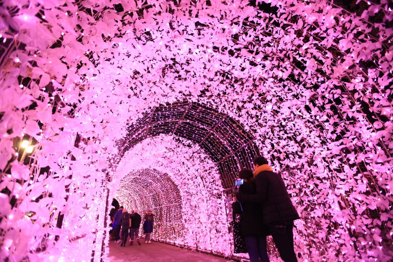 Nami Island and Garden of Morning Calm Tour from Seoul - სურათი 10