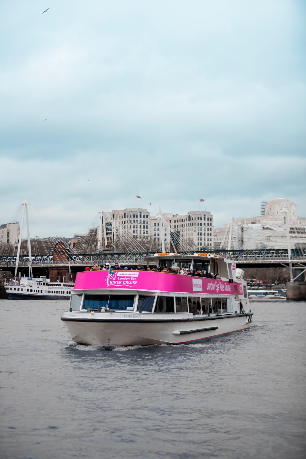 River Thames Cruise - სურათი 12