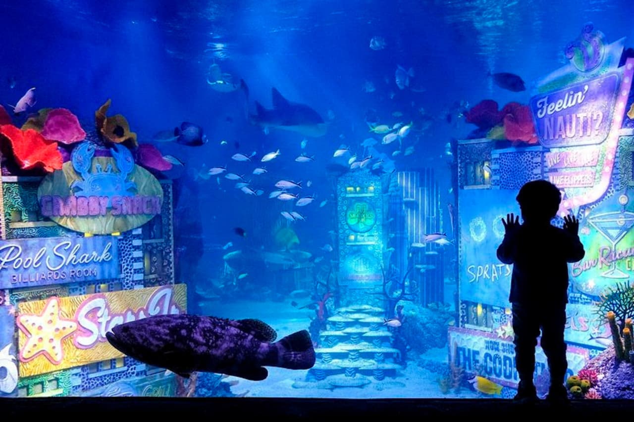 SEA LIFE New Jersey Aquarium Ticket - სურათი 8