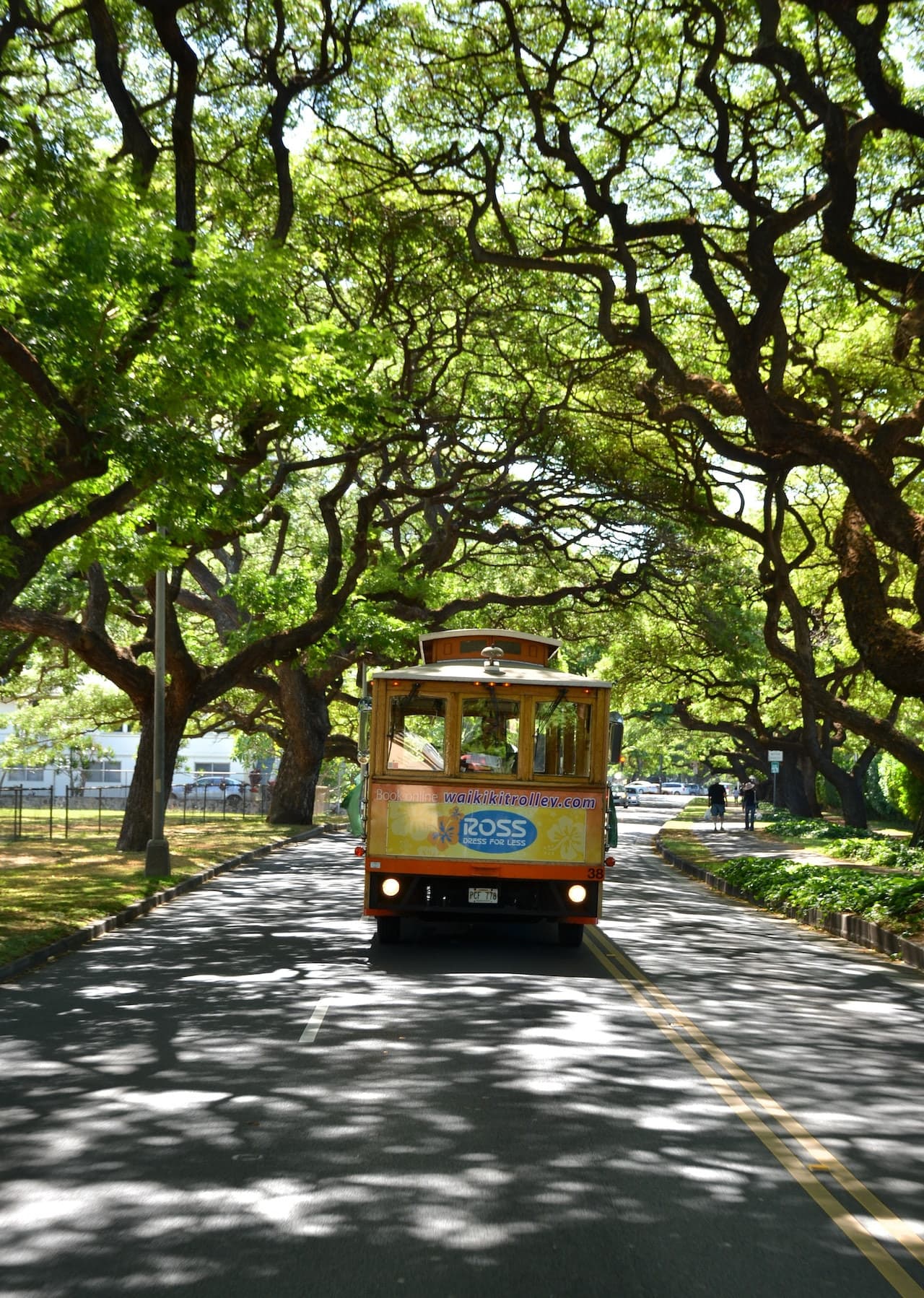 Waikiki Trolley Hop-on Hop-off Bus Tour - სურათი 5