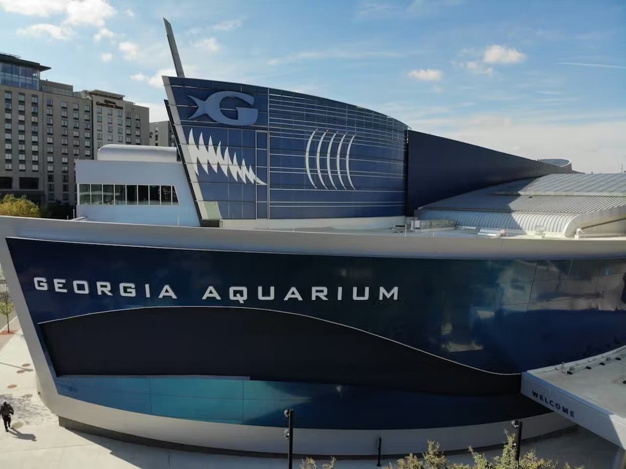 Georgia Aquarium: Fast Track Ticket - სურათი 9