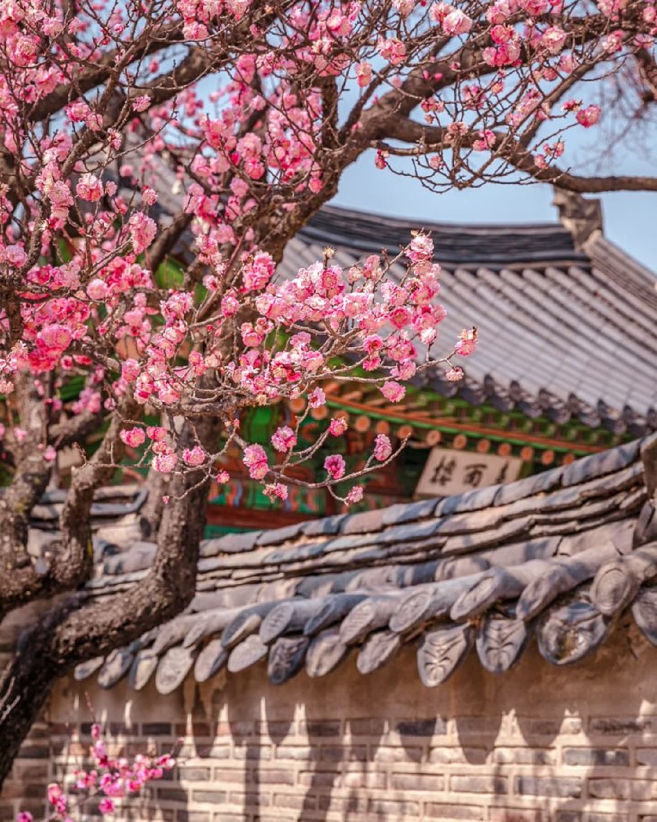 Discover Seoul Pass - სურათი 18