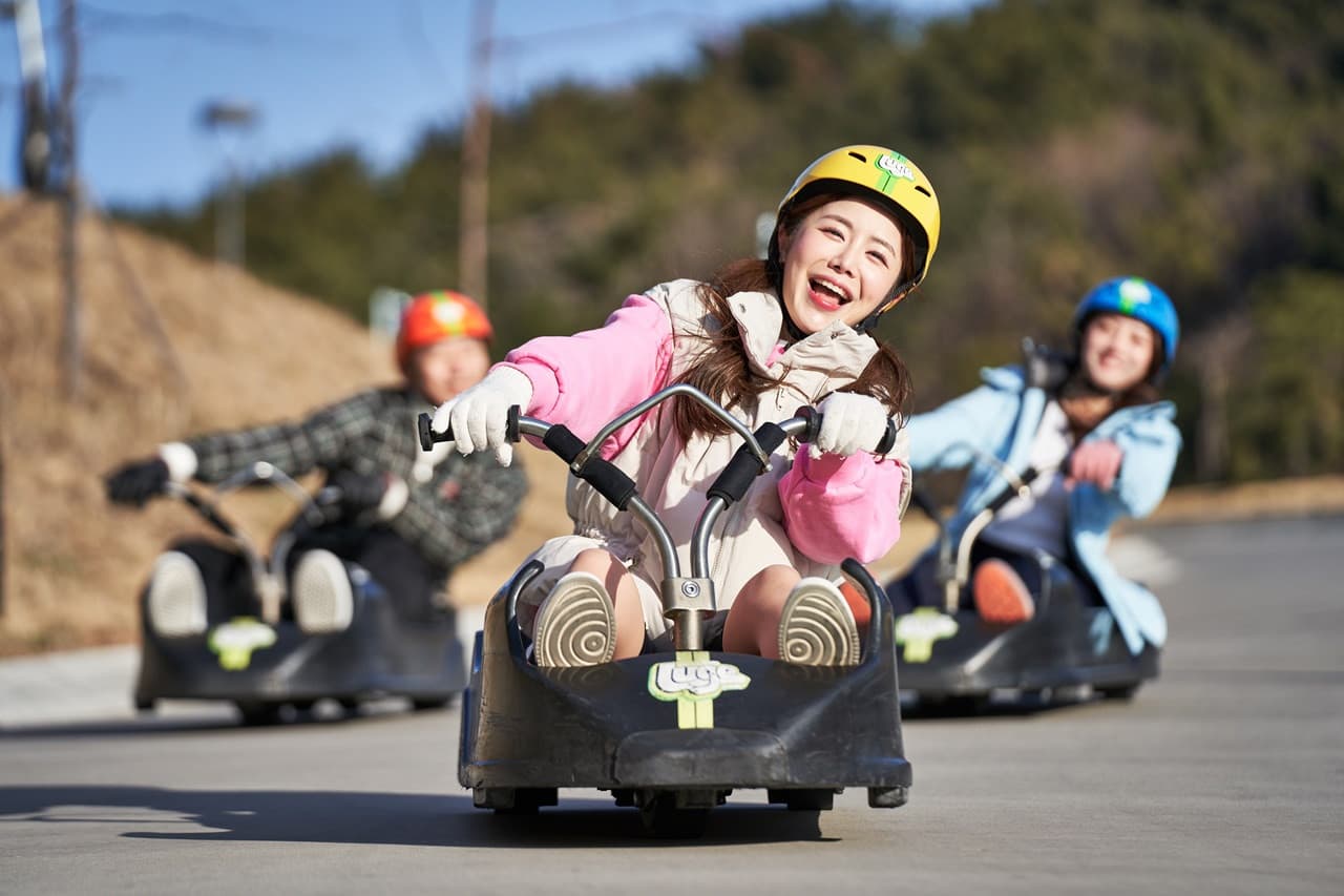 Skyline Luge Busan Ticket - სურათი 3