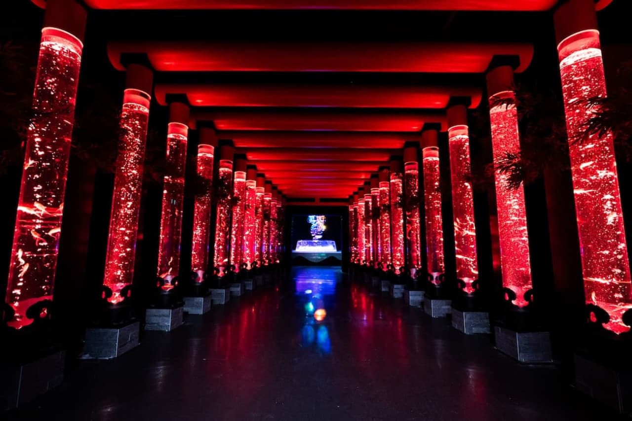 Art Aquarium Museum GINZA Ticket - სურათი 2