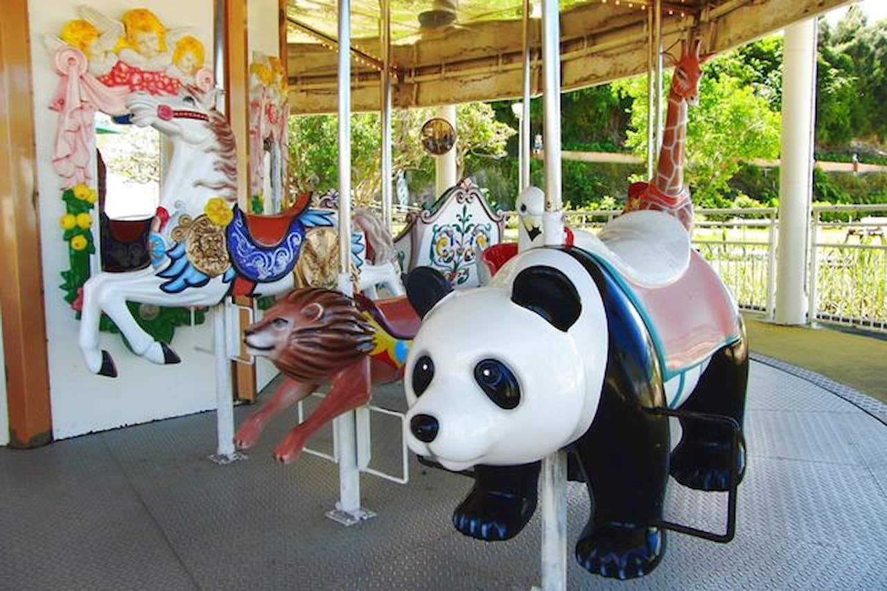 Okinawa Zoo & Museum Ticket - სურათი 10